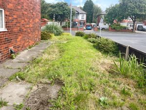 Garden- click for photo gallery